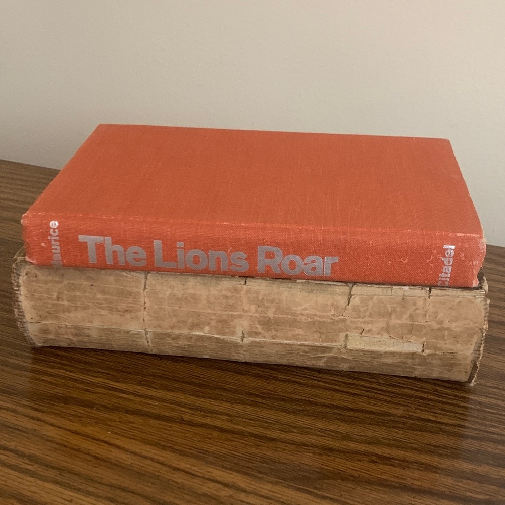 The Lion's Roar Orange Hardcover Book